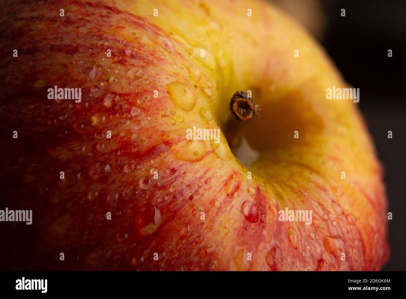 fuji Gala Apfel sehr nah mit frischem Wasser gesehen Tropfen auf der Oberseite Stockfoto