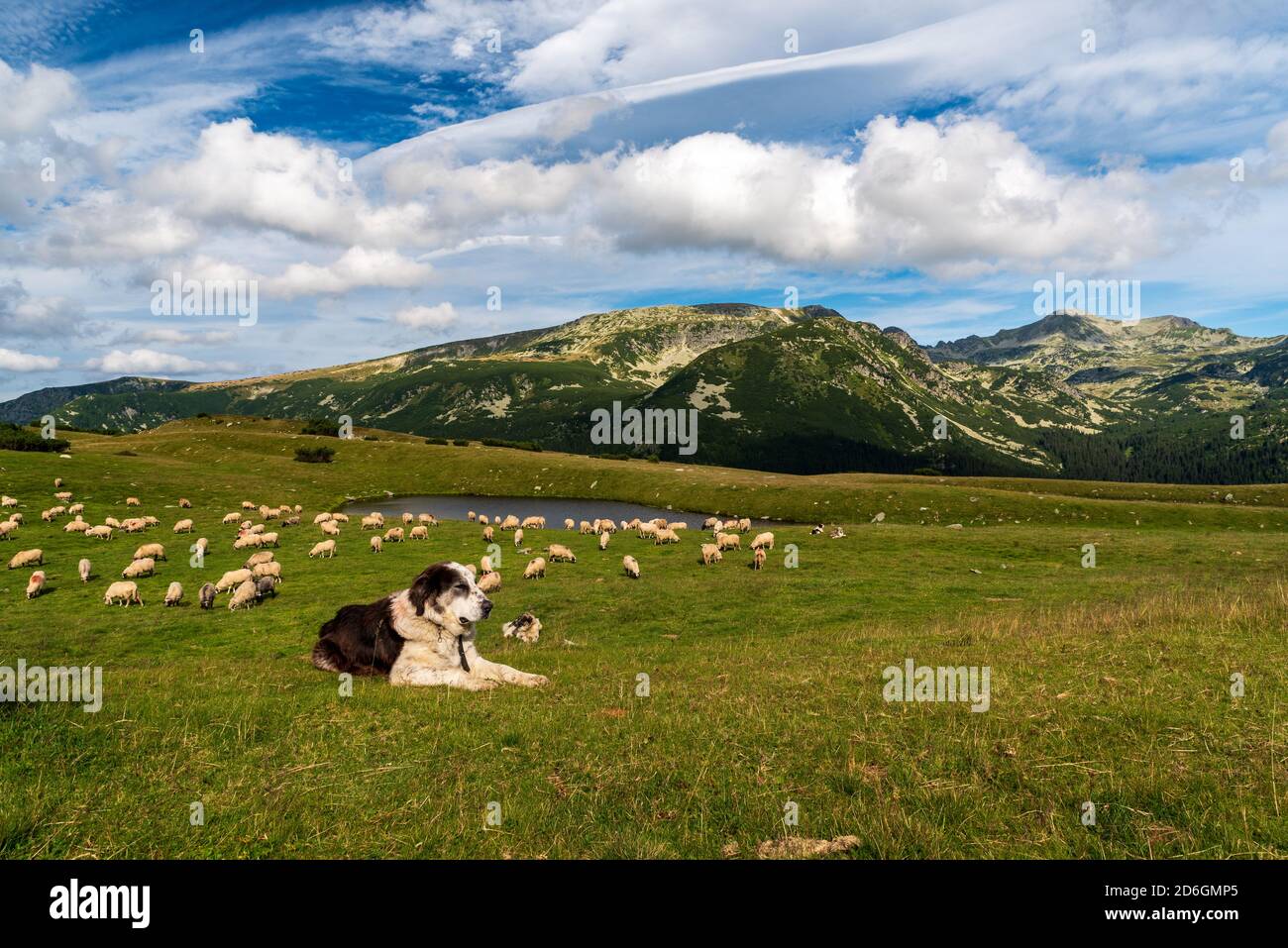 Saua Plaiul Mic im Retezat-Gebirge in Rumänien mit Futterladen, Hütte, kleinem See und höheren Gipfeln im Hintergrund Stockfoto