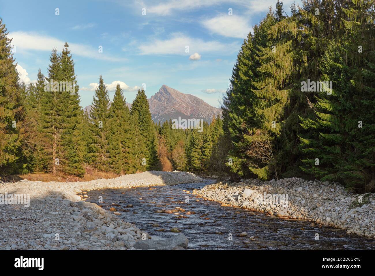 Waldfluss Bela mit kleinen runden Steinen und Nadelbäumen auf beiden Seiten, sonniger Tag, Krivan Gipfel - slowakisches Symbol - in der Ferne Stockfoto
