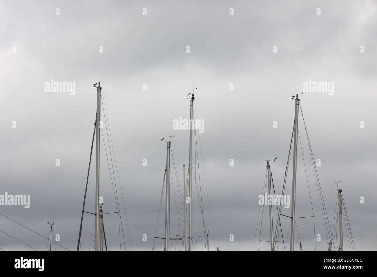 Ein Foto von Yachtmasten in einem Hafen, vor grauem bewölktem Himmel Stockfoto