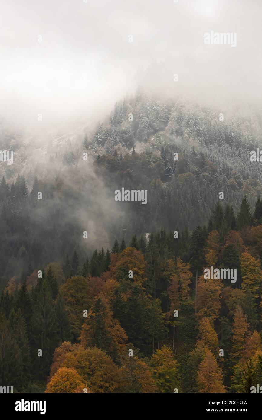 Herbst wird Winter in Oberstaufen, Deutschland Stockfoto