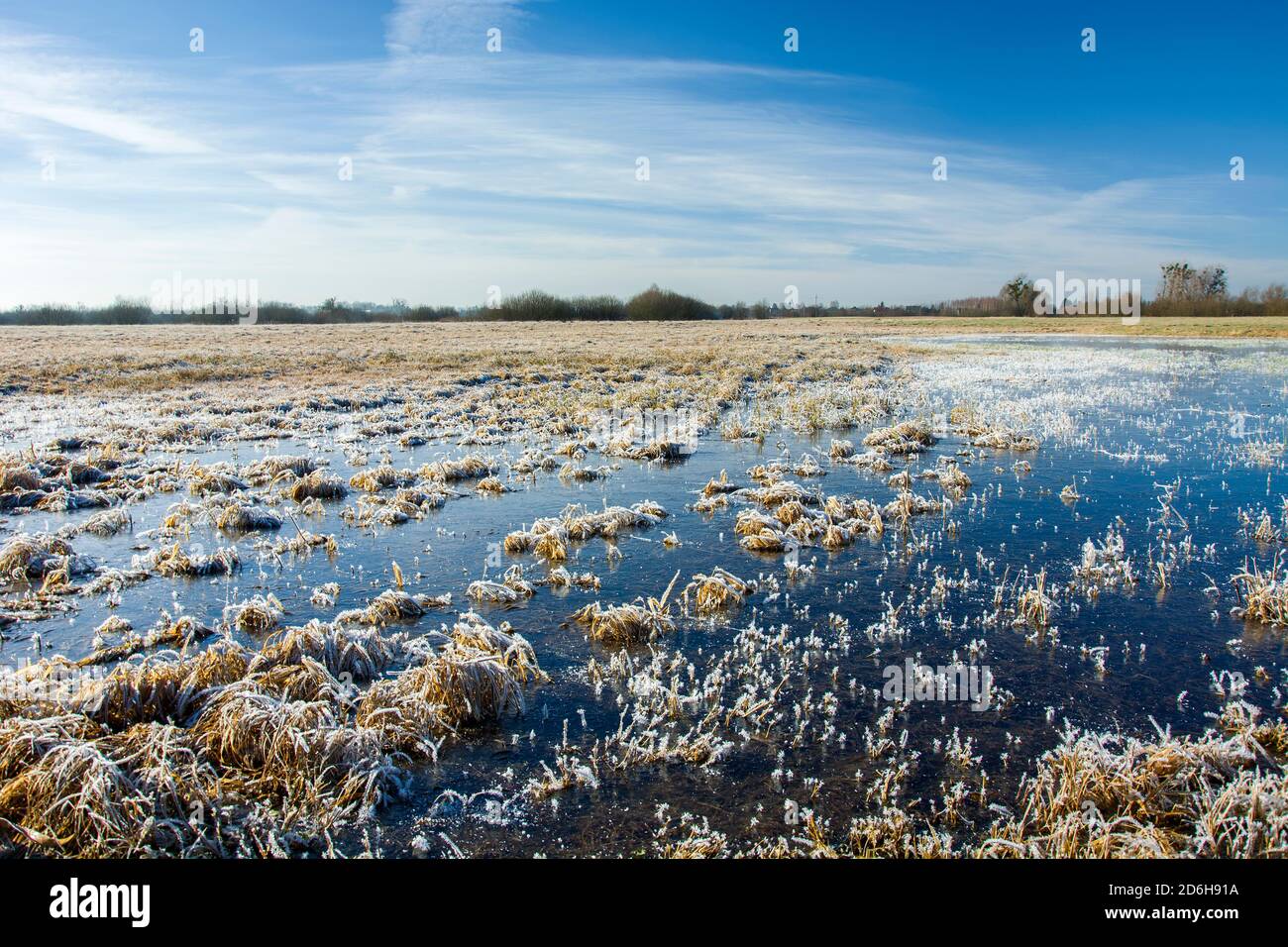 Gefrorenes Wasser und Frost auf der Wiese, am Horizont und am blauen Himmel Stockfoto