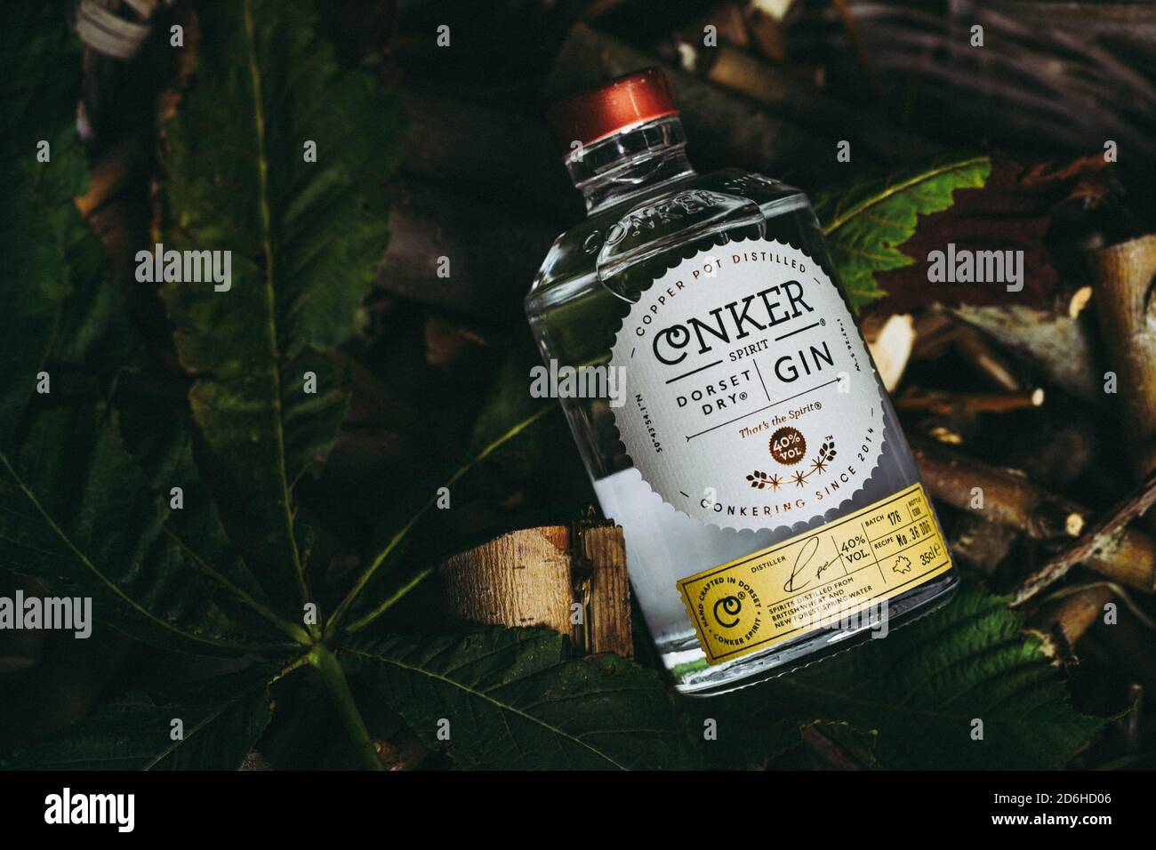 Conker Spirit Dorset Dry Gin Flasche Stockfoto