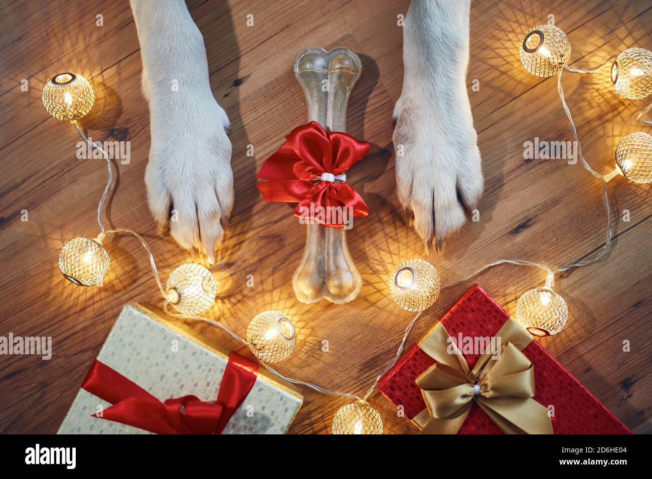 Feiertagsfeier zu Hause. Knochen mit rotem Band als Weihnachtsgeschenk für Hund. Stockfoto
