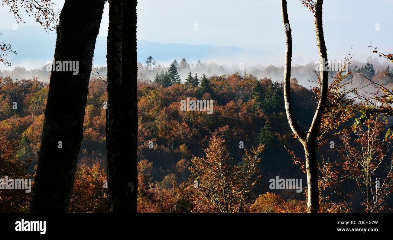 Herbstansicht der Alpago-Berge von Tambre, in der Provinz Belluno, Italien Stockfoto
