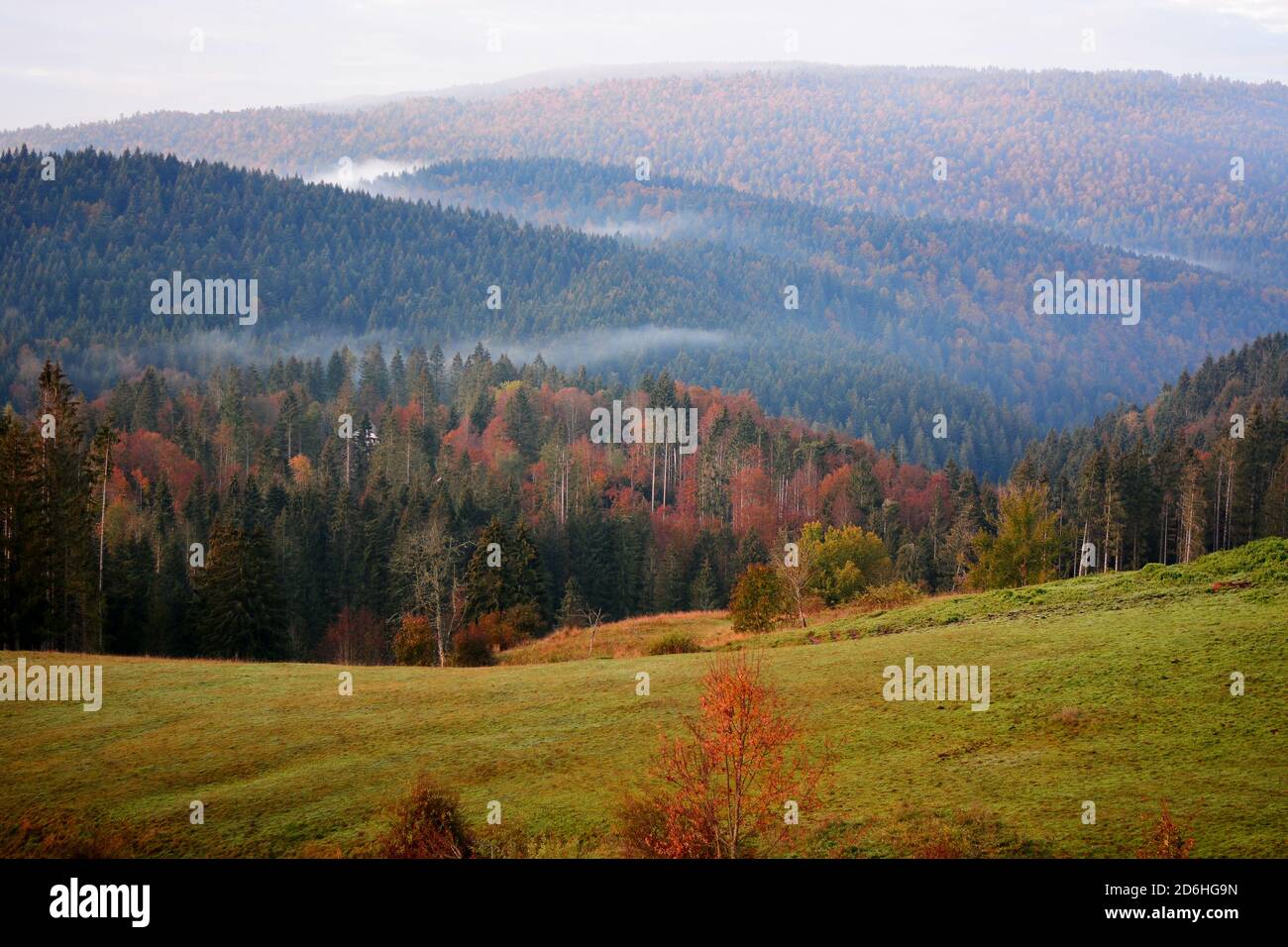 Herbst Stockfoto