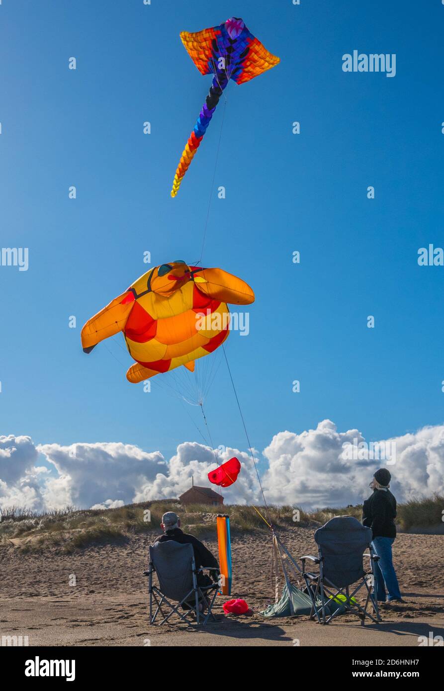Tierdrachen fliegen an der Küste von Lincolnshire in Anderby. Stockfoto