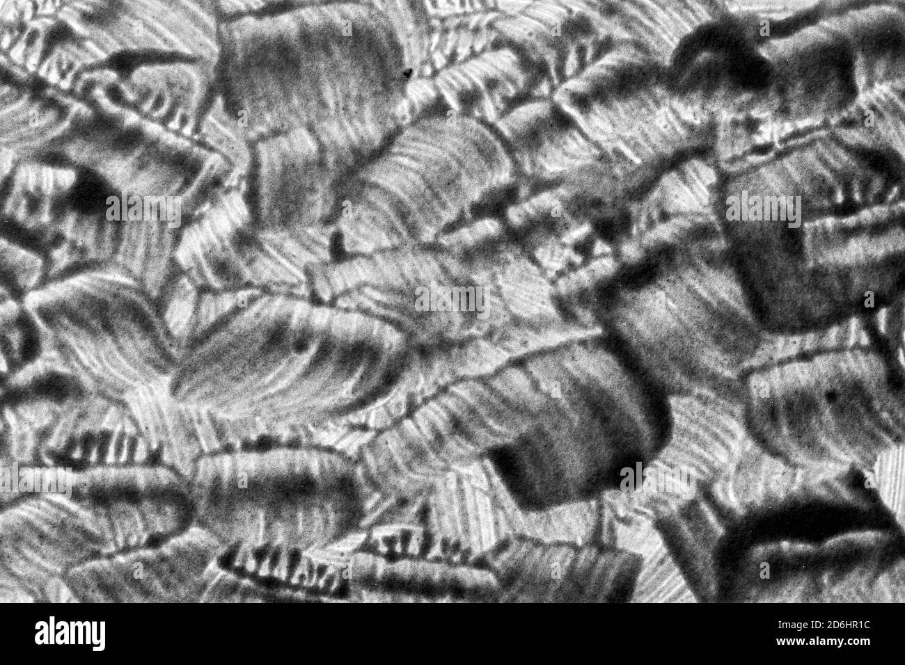 Schwarze durchscheinende Pinselstriche können als Hintergrund verwendet werden. Grau lackierte Textur Stockfoto