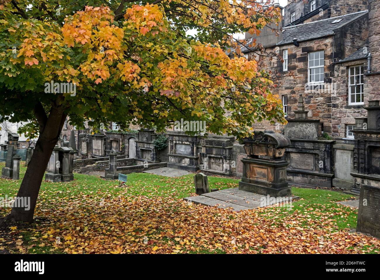 Herbstfarbe in Greyfriars Kirkyard, Edinburgh, Schottland, Großbritannien. Stockfoto