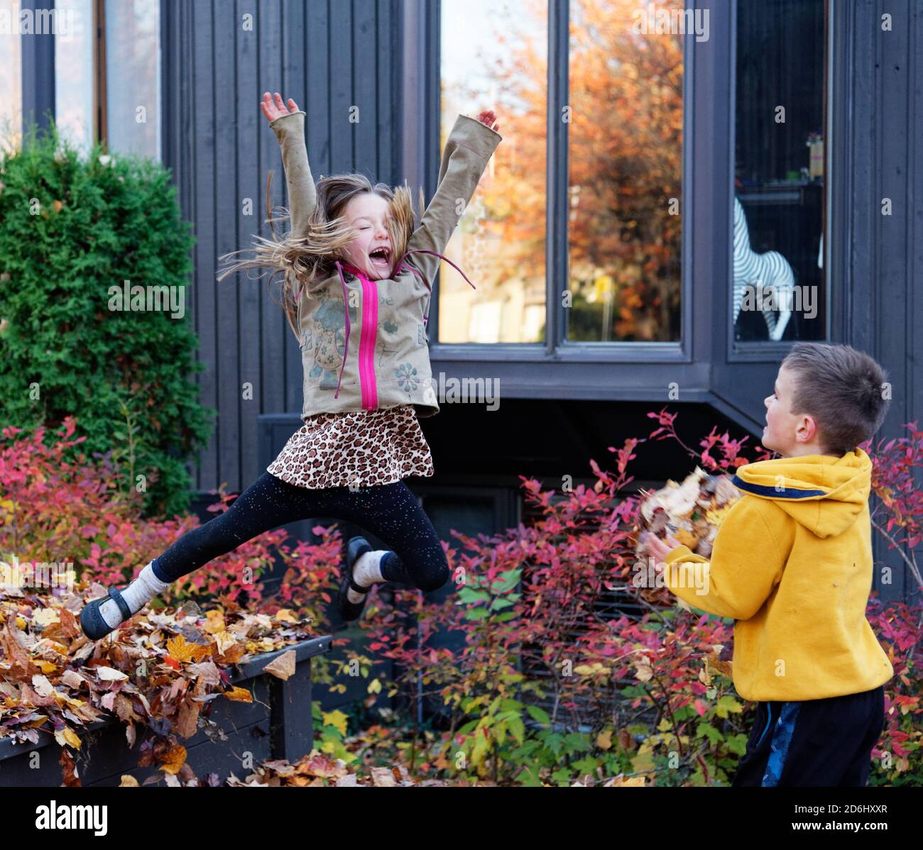 Ein sechs Jahre altes Mädchen, beobachtet von ihrem Bruder, einen Stern tun Sprung in einen Haufen von Herbstblättern Stockfoto