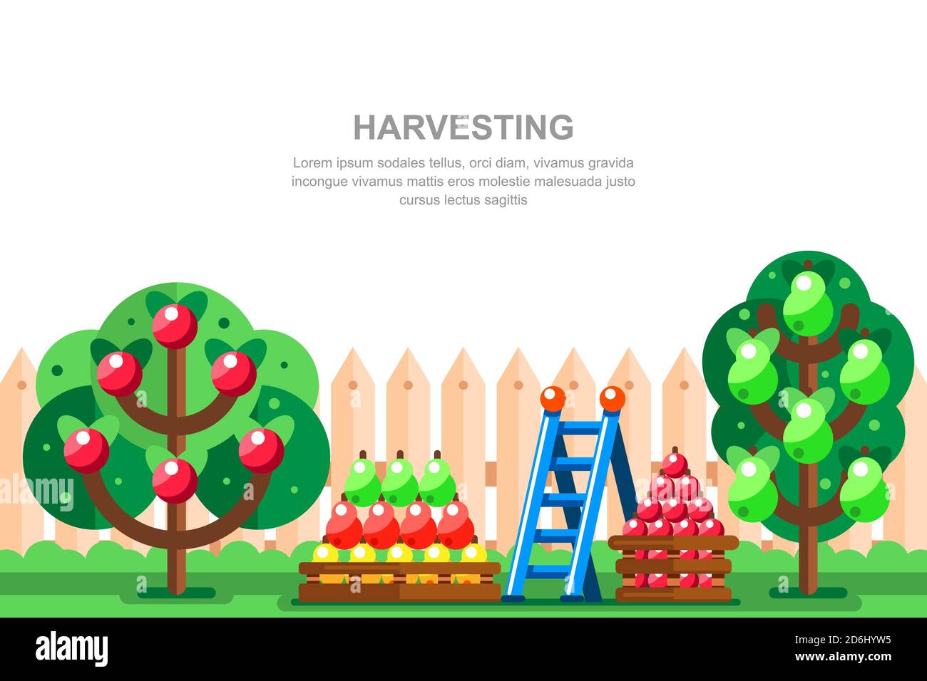 Landhaus Gartenarbeit und Ernte Vektor-Illustration. Apfel- und Birnenbäume, Früchte in Kisten in der Nähe von Holzzaun. Sommerlandschaft. Stock Vektor