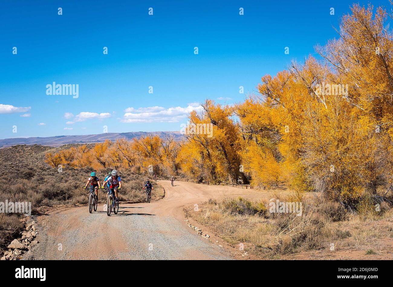 10. Oktober 2020: Mountainbiker genießen eine von vielen Hartman Rocks High Desert Roads. Das am Stadtrand von Gunnison, Colorado, gelegene Hartman Rocks Recreation Area umfasst über 14 Hektar oder öffentliches Land, das vom Bureau of Land Management (BLM) verwaltet wird. Eine Vielzahl von Multi-Use-Trails werden von 4x4-Fahrer, Mountainbiker, Dirt Biker, Wanderer und Trailrunner genossen. Gunnison, Colorado. Stockfoto