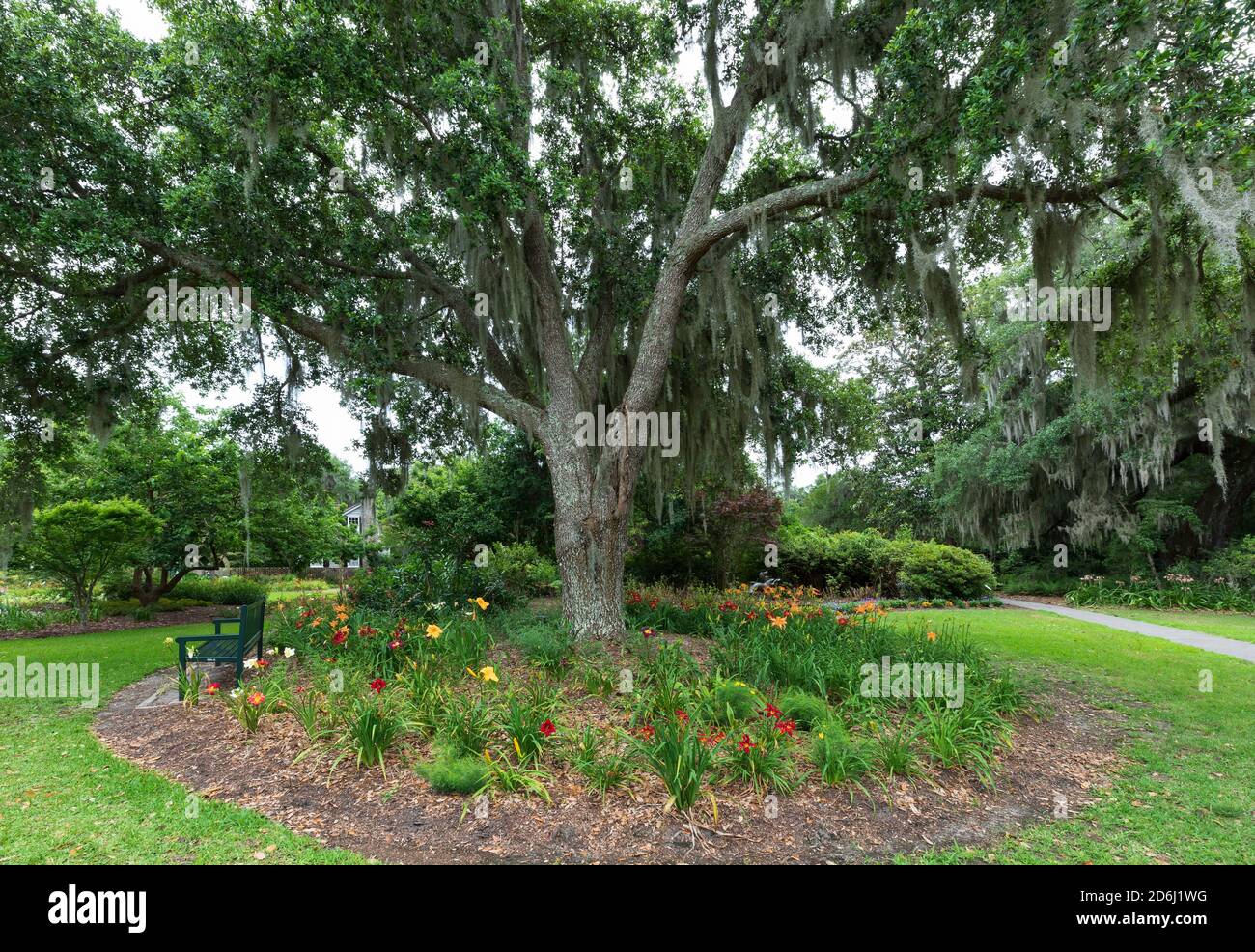 Brookgreen Gardens, Murrells Inlet, South Carolina. Eine Bank sitzt unter der Verbreitung leben Eichen umgeben von Taglilien in der historischen Skulptur und botan Stockfoto
