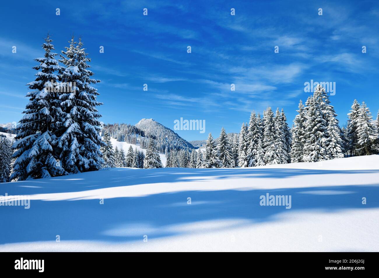 Tief verschneite unberührte Winterlandschaft am Oberjochpass, schneebedeckte Tannenbäume, strahlender Sonnenschein, blauer Himmel, Oberjoch, Allgäu Stockfoto
