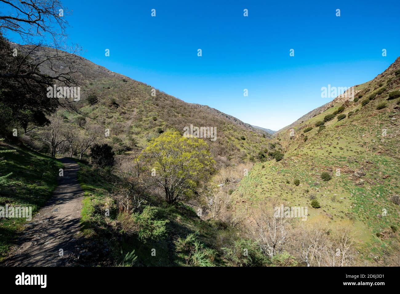 Blick ins Tal, Wanderweg Vereda de la Estrella, Sierra Nevada bei Granada, Andalusien, Spanien Stockfoto