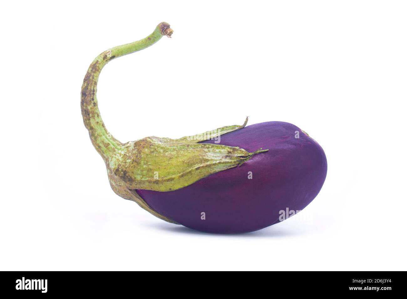Aubergine auf isoliertem weißem Hintergrund Stockfoto