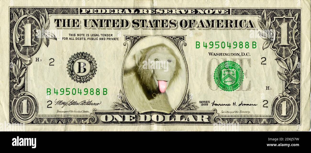 Dollar, Rechnung, Währung, Affe, Parodie, lustig Stockfoto