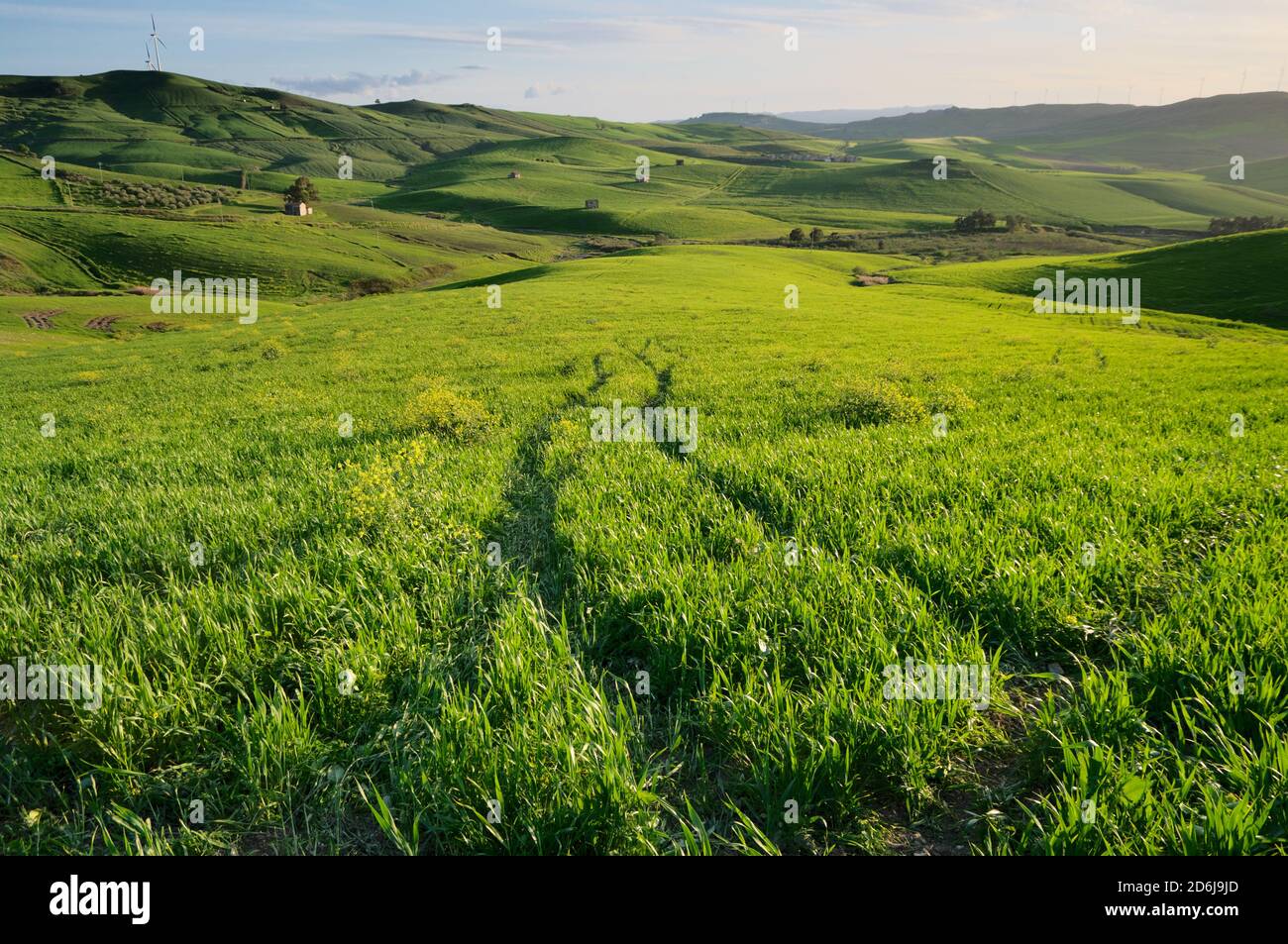 Grüne Grasfläche auf hügeligen Hügeln mit kleinen Bauernhäusern (Granilia) am Abend, typisch für die Agrarreform (EPOCHEN) in Sizilien in den Tannen Stockfoto