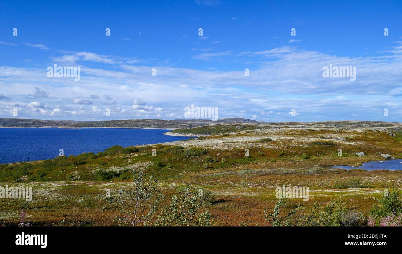 Barentssee und Arktischer Ozean, der nördlichste von Russland. Das Dorf Teriberka und der Friedhof der Schiffe, Landschaften Stockfoto