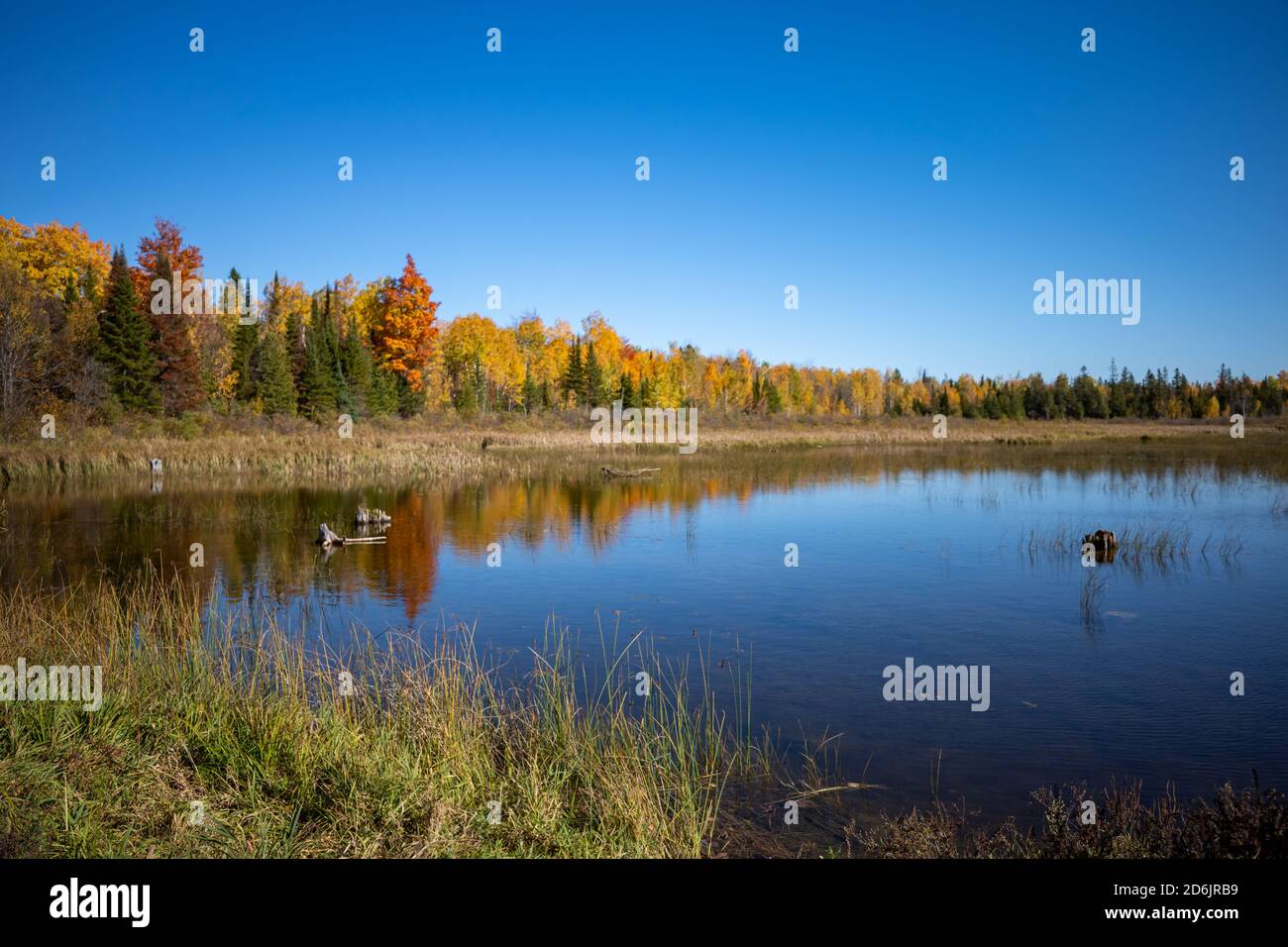 Feuchtgebiete feuchtgebiete feuchtgebiet teich Fotos und Bildmaterial