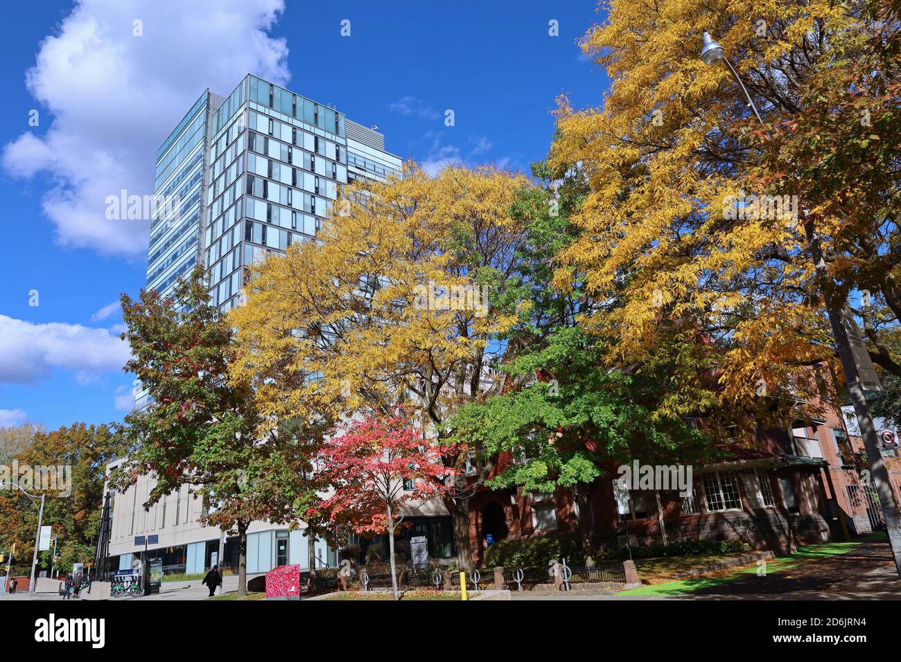 Toronto, Kanada - 16. Oktober 2020: Campus der Universität Toronto, Hochhaus der Bachelor-Business School, mit Bäumen in Herbstfarben Stockfoto