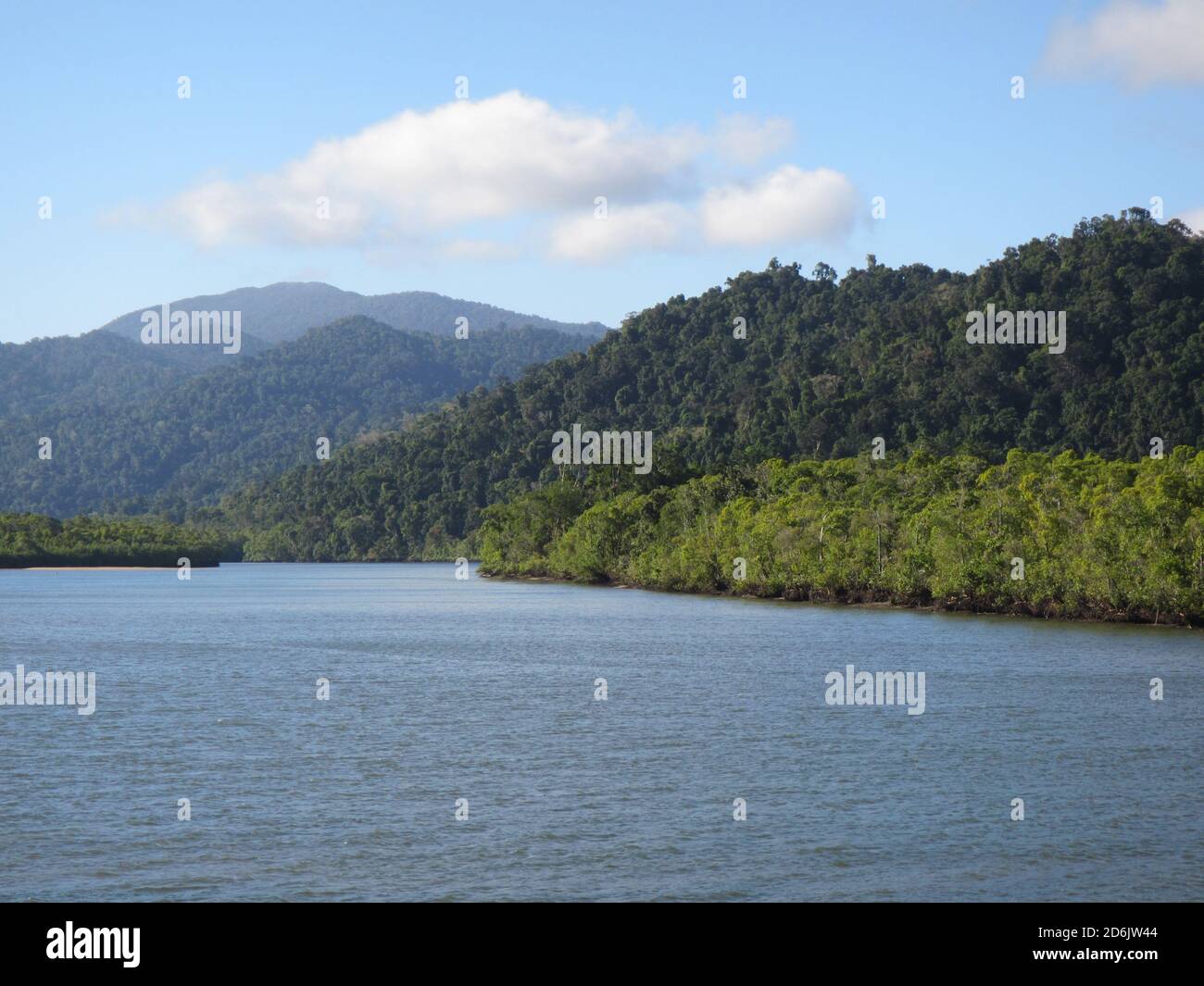 Blick auf den tropischen Mulgrave River im Norden von Queensland Australien Stockfoto