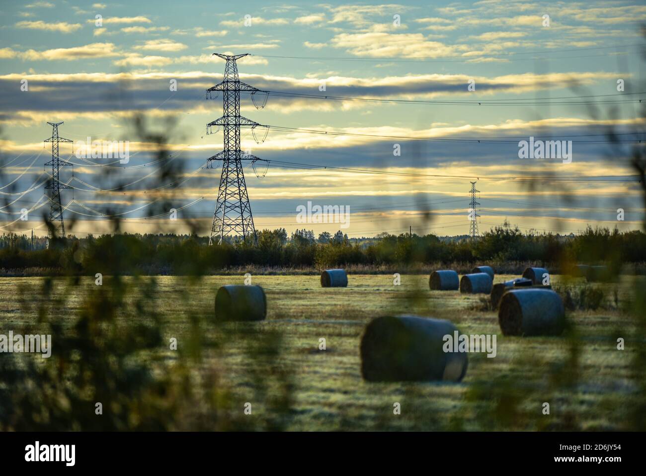Blick auf eine grasbewachsene Heuhaufen-Wiese am frühen Morgen mit Bäumen und Sträuchern bedeckt, aber Wolken am Himmel mit Sonnenlicht Stockfoto