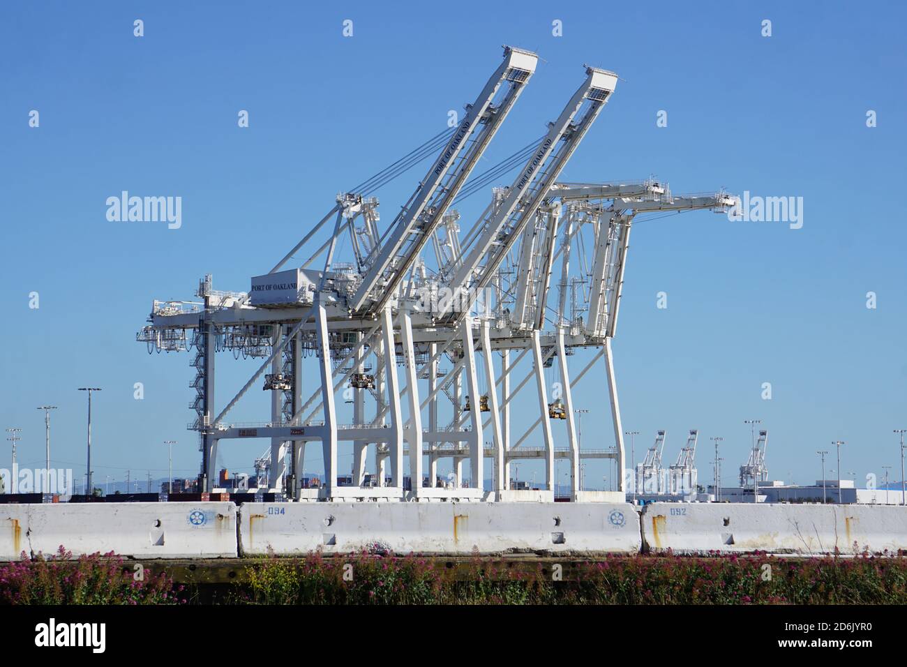 Intermodale Containerkrane, Teil des internationalen globalen Handelsnetzes. Outer Harbor, Hafen von Oakland, Kalifornien, USA Stockfoto