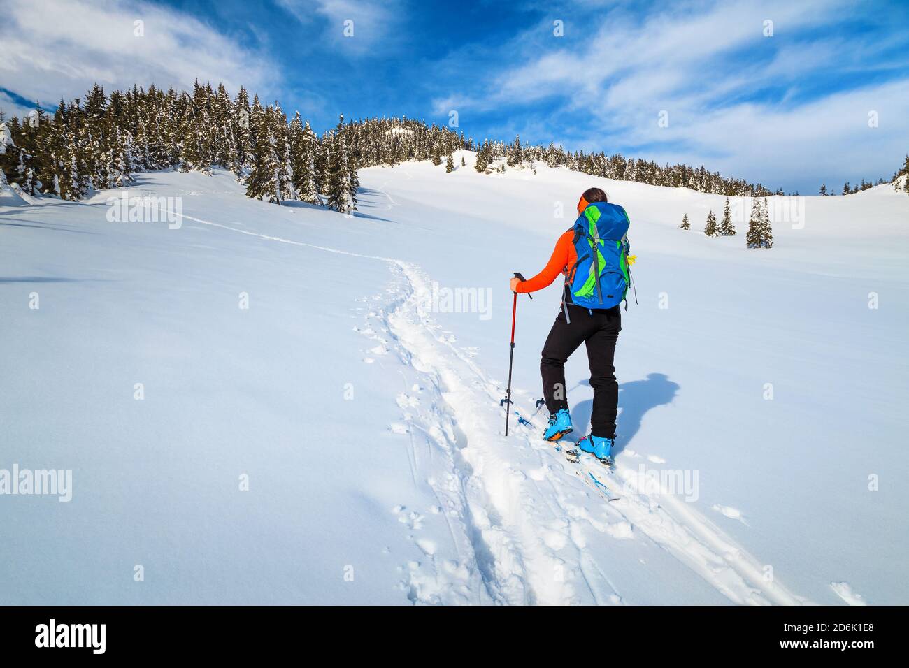 Sportliche Backpacker Frau auf frischem Pulverschnee, Skitouren auf dem Tiefschnee. Backcountry Skifahrer mit bunten Rucksack in den Bergen, Karpaten, TR Stockfoto
