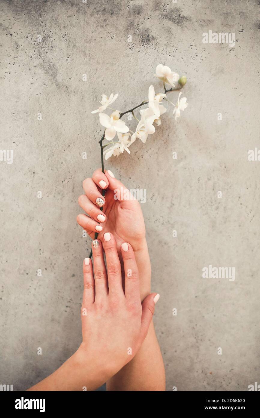 Ansicht der Ernte unkenntlich weiblich mit blühenden Blume demonstrieren Stilvolle gepflegte Maniküre auf Beton Hintergrund Stockfoto