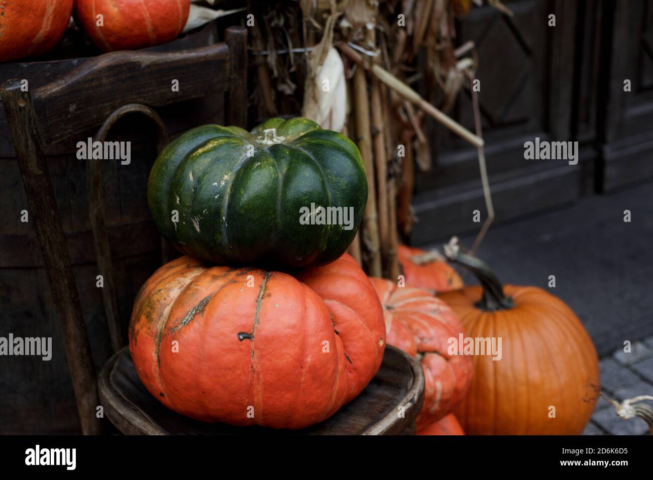 Große orange und grüne Kürbisse liegen auf einem alten Holzstuhl. Der Halloween-Tag. Herbst bunte Ernte Stockfoto