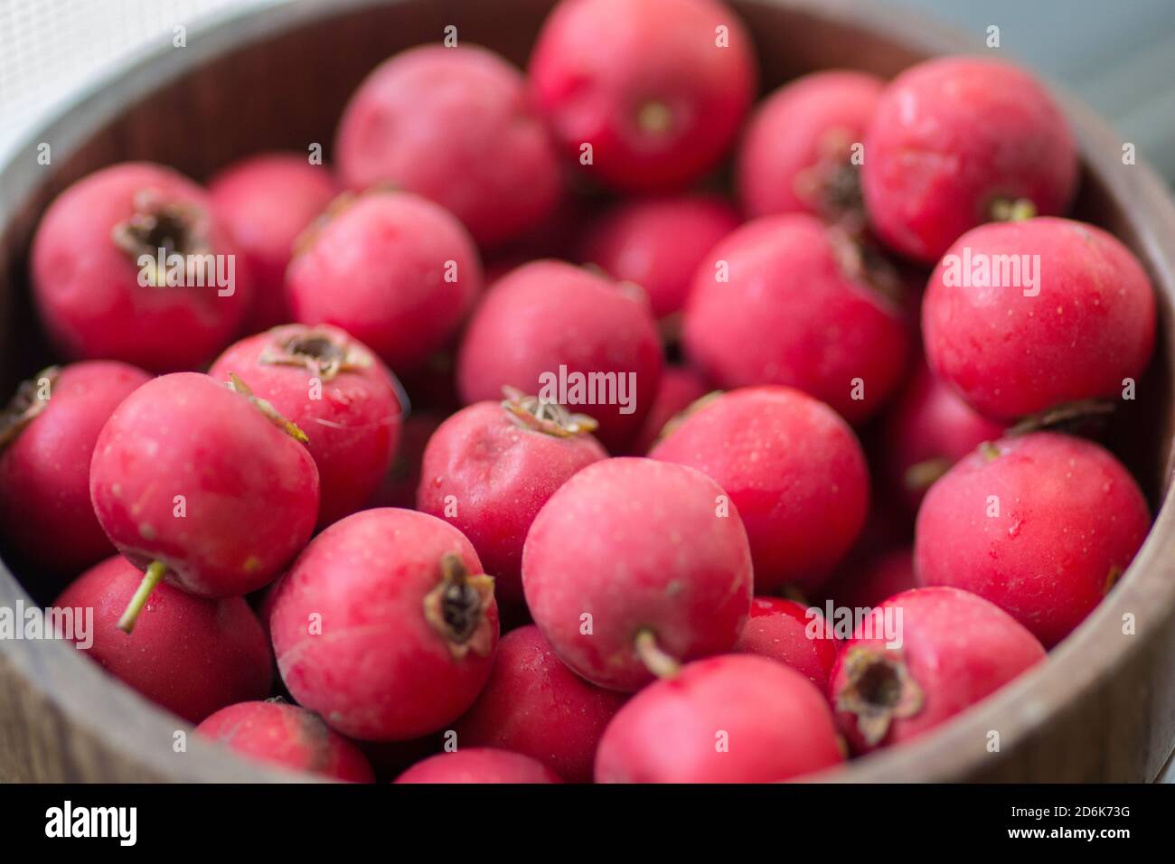 Rote scharlachrote Weißdorn-Früchte (Crataegus coccinea), in Holzschüssel aufgeschichtet Stockfoto
