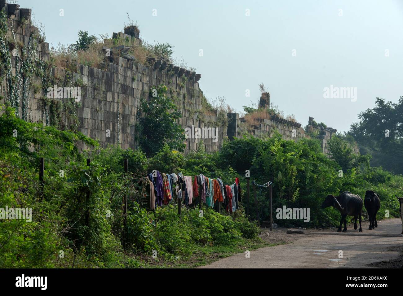 Weg nach Kevda Masjid, Champaner-Pavagadh Archäologischer Park, UNESCO-Weltkulturerbe, GUJARAT, Indien Stockfoto