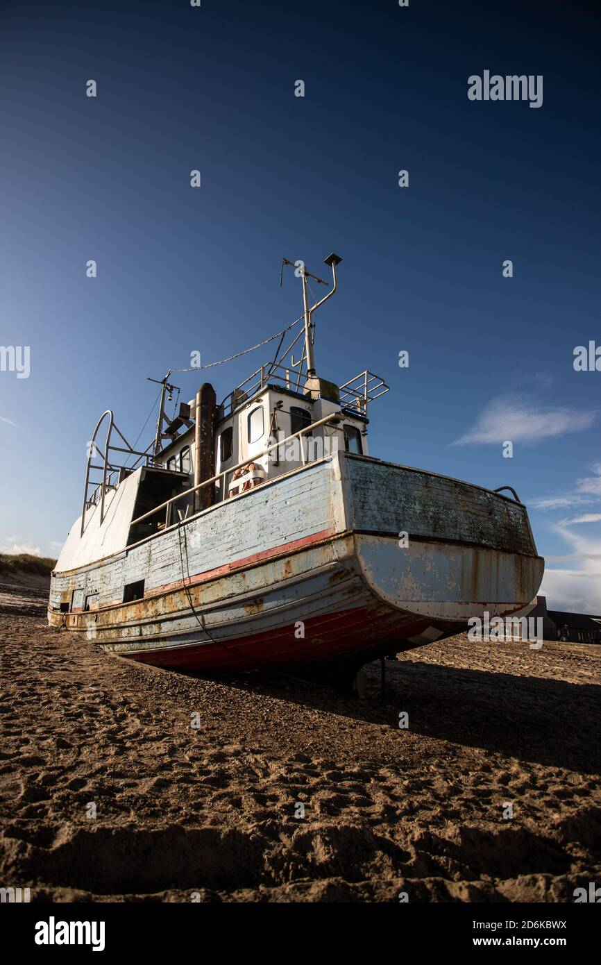 Küstenschneider am Strand von Thorup, Dänemark Stockfoto