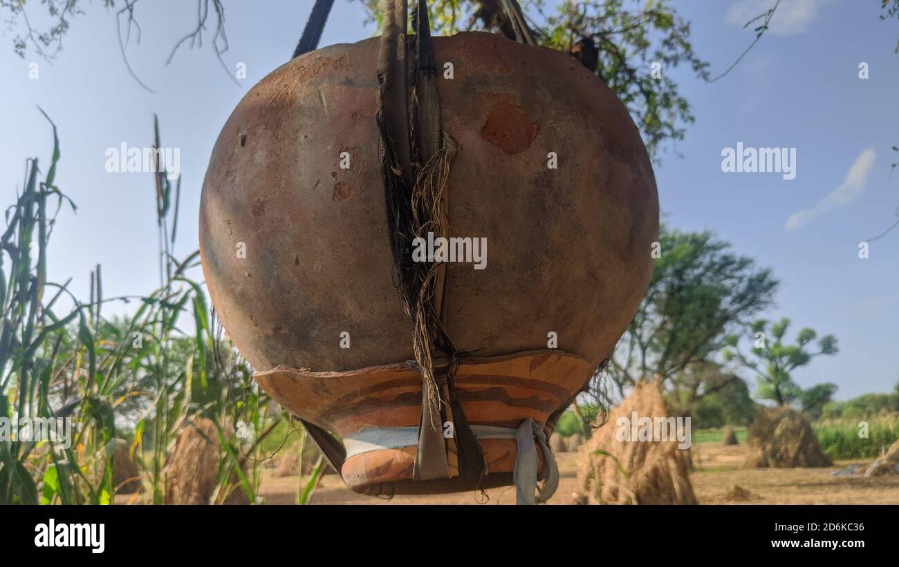 Tontöpfe oder Erdtöpfe mit Wasser hängen von Akazienbaum für Vögel. Stockfoto