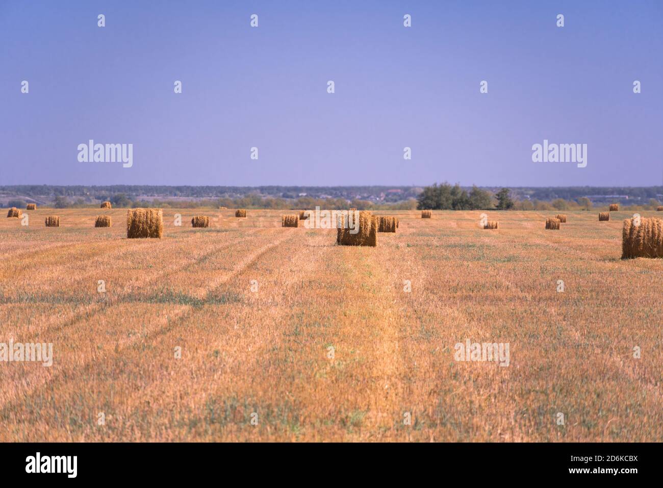 Haystacks auf dem Feld. Sommer ländliche Landschaft. Landschaft des Randes eines Feldes mit Weizen oder Gerstenohren nach der Ernte mit einem blauen Himmel. Landwirtschaft Stockfoto