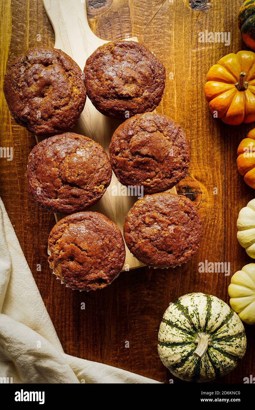 Kürbis-muffins Stockfoto