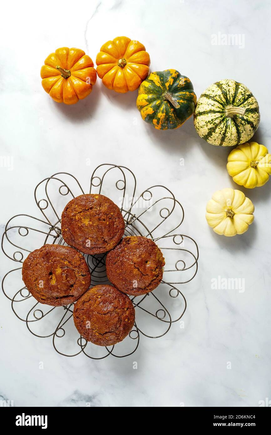 Kürbis-muffins Stockfoto