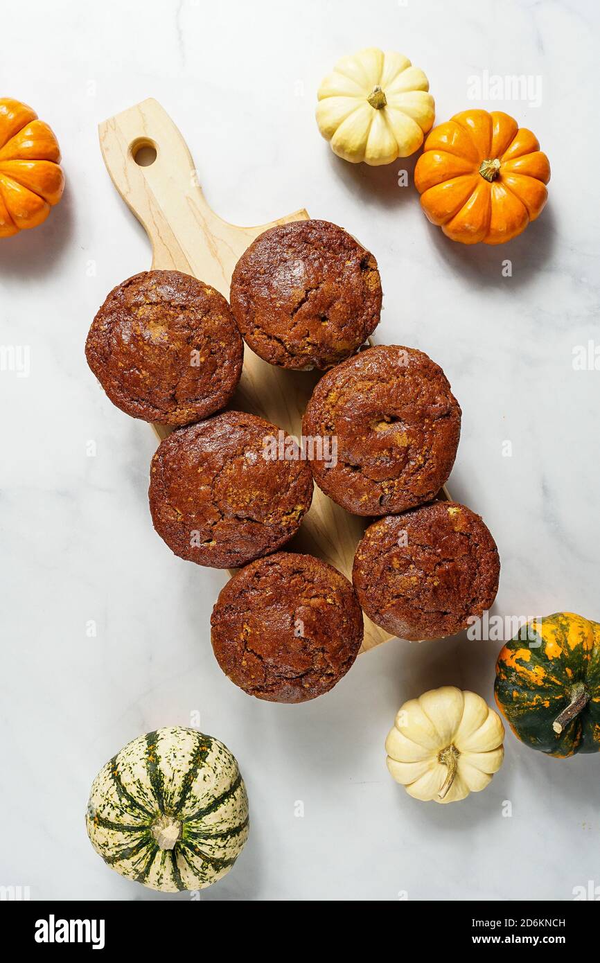 Kürbis-muffins Stockfoto