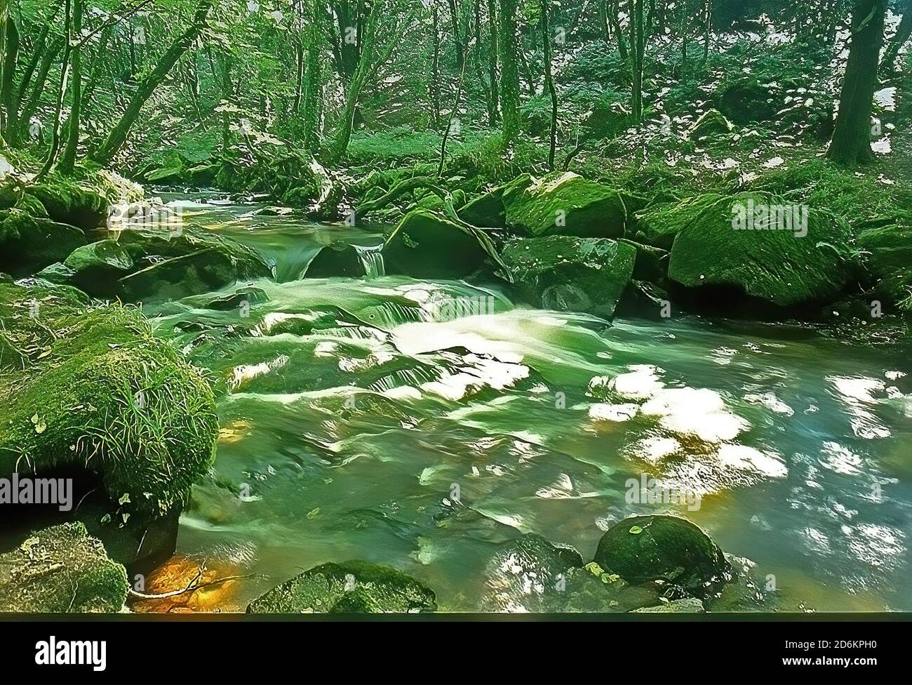 Flußrapiden pelzigen Wasser Stockfoto