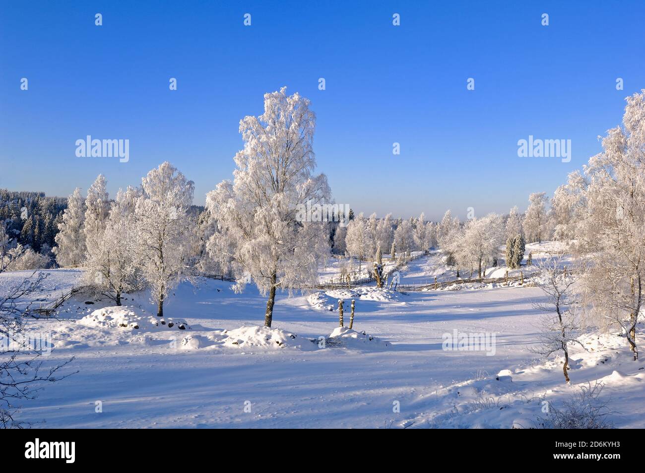 Winter in einer Kulturlandschaft, Åsens by, Aneby, Småland, Schweden, Sverige Stockfoto