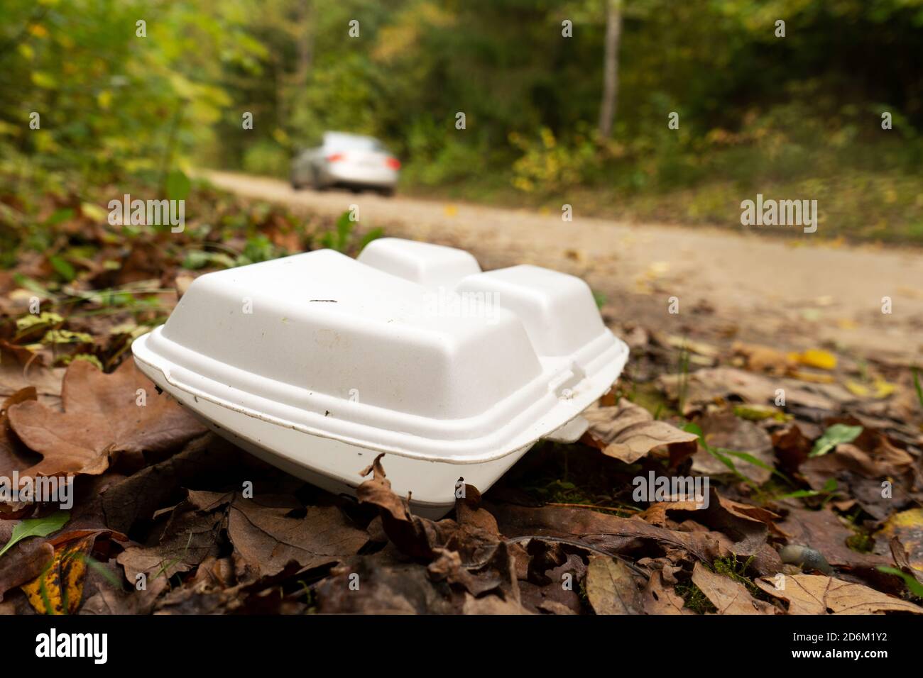 Alte Einweg-Plastikteller, Box im Wald neben der Straße mit Auto im Hintergrund. Plastik Recycling, Verschmutzung und globale Erwärmung Thema. Stockfoto