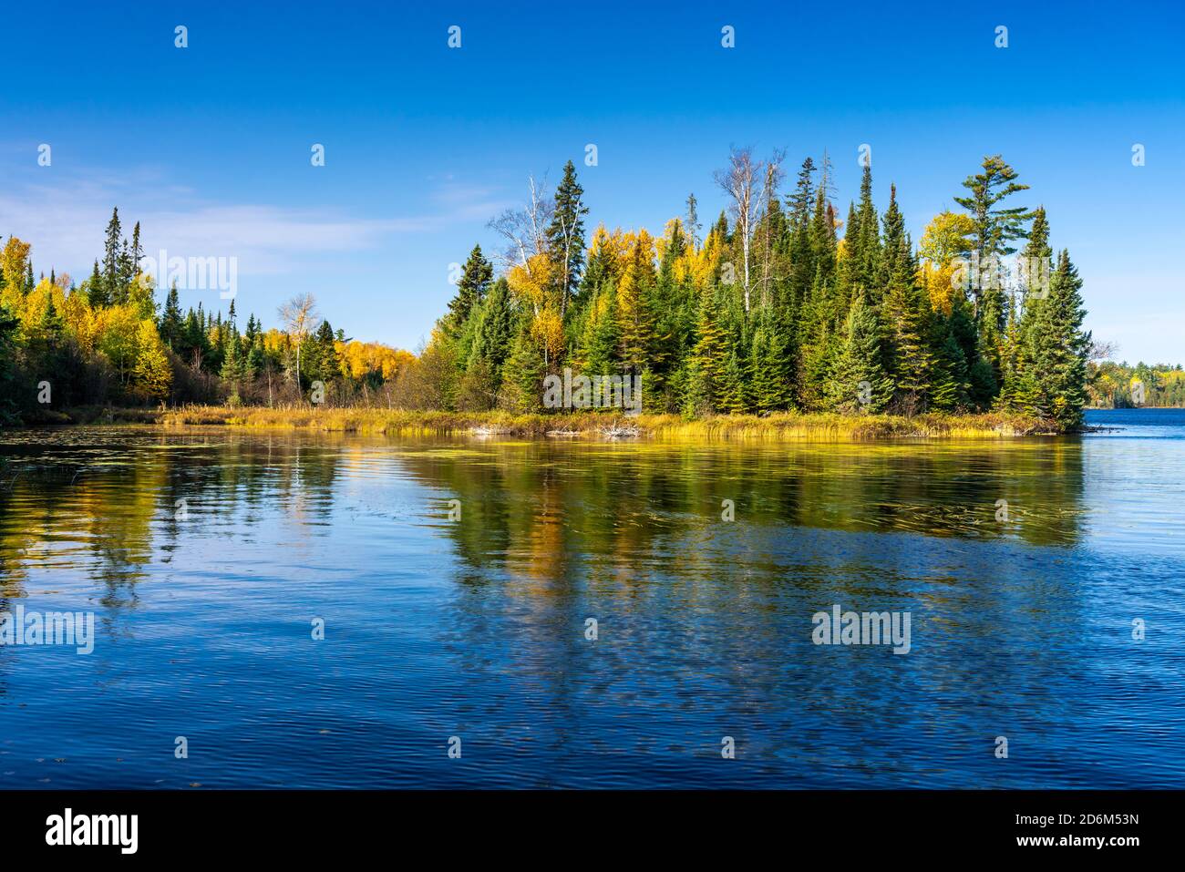 Herbstfärbung und Reflexionen in einem kleinen See im Quetico Provincial Park, Ontario, Kanada. Stockfoto