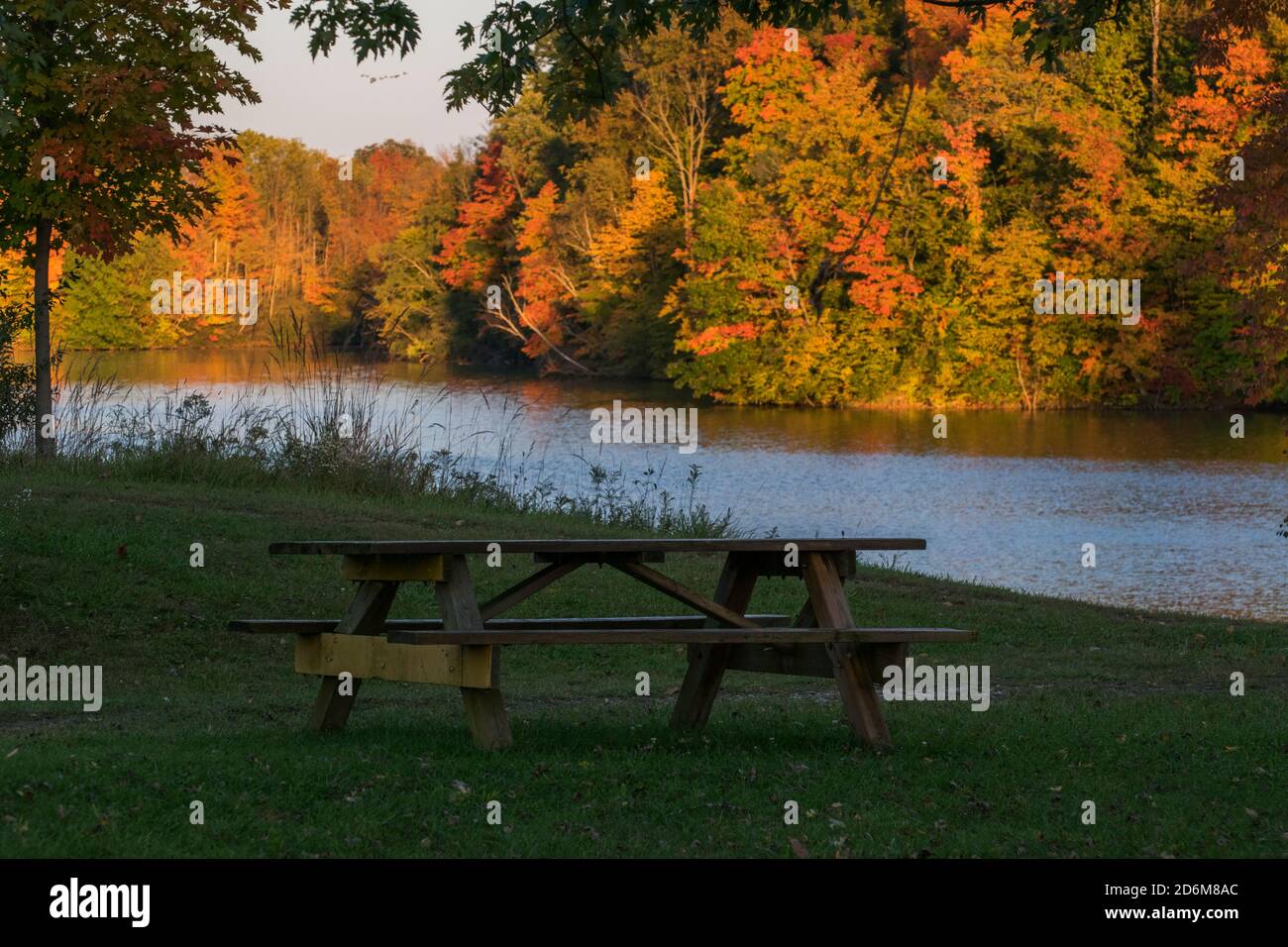 Herbstbrocken. Rote, orange und gelbe Ahornblätter Stockfoto