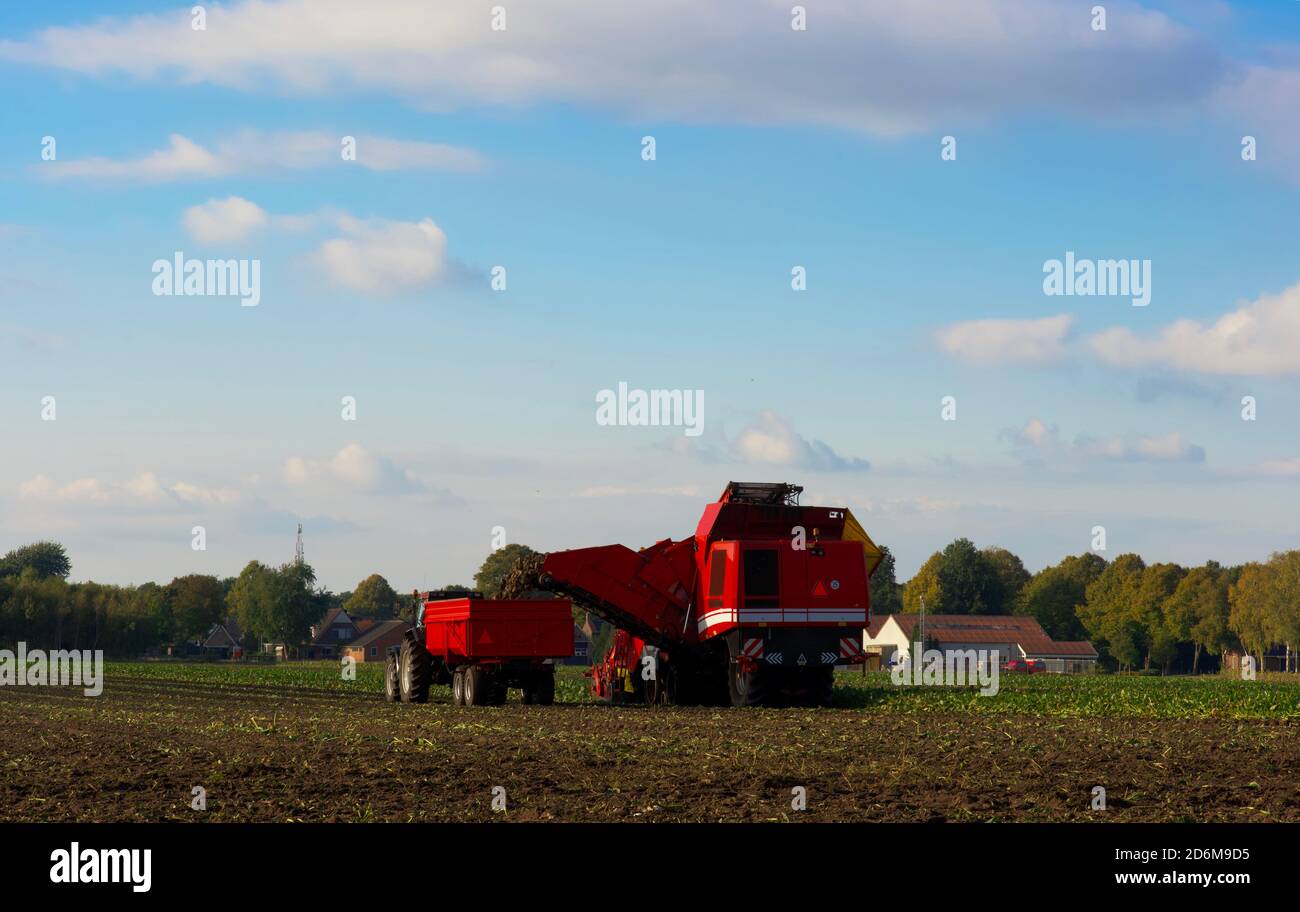 Traktor und Mähdrescher auf dem Bauernhof während der Herbsternte. Horizontale Komposition, Farbbild, Editorial. Stockfoto