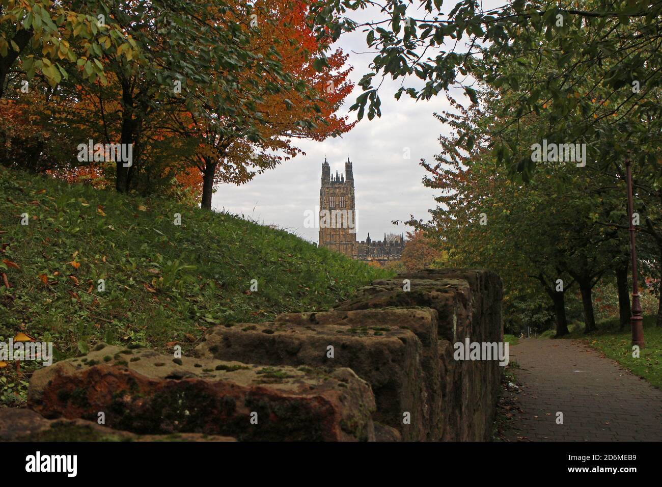 Wrexham Parish Kirche umrahmt zwischen einer Gruppe von Herbstbäumen Stockfoto