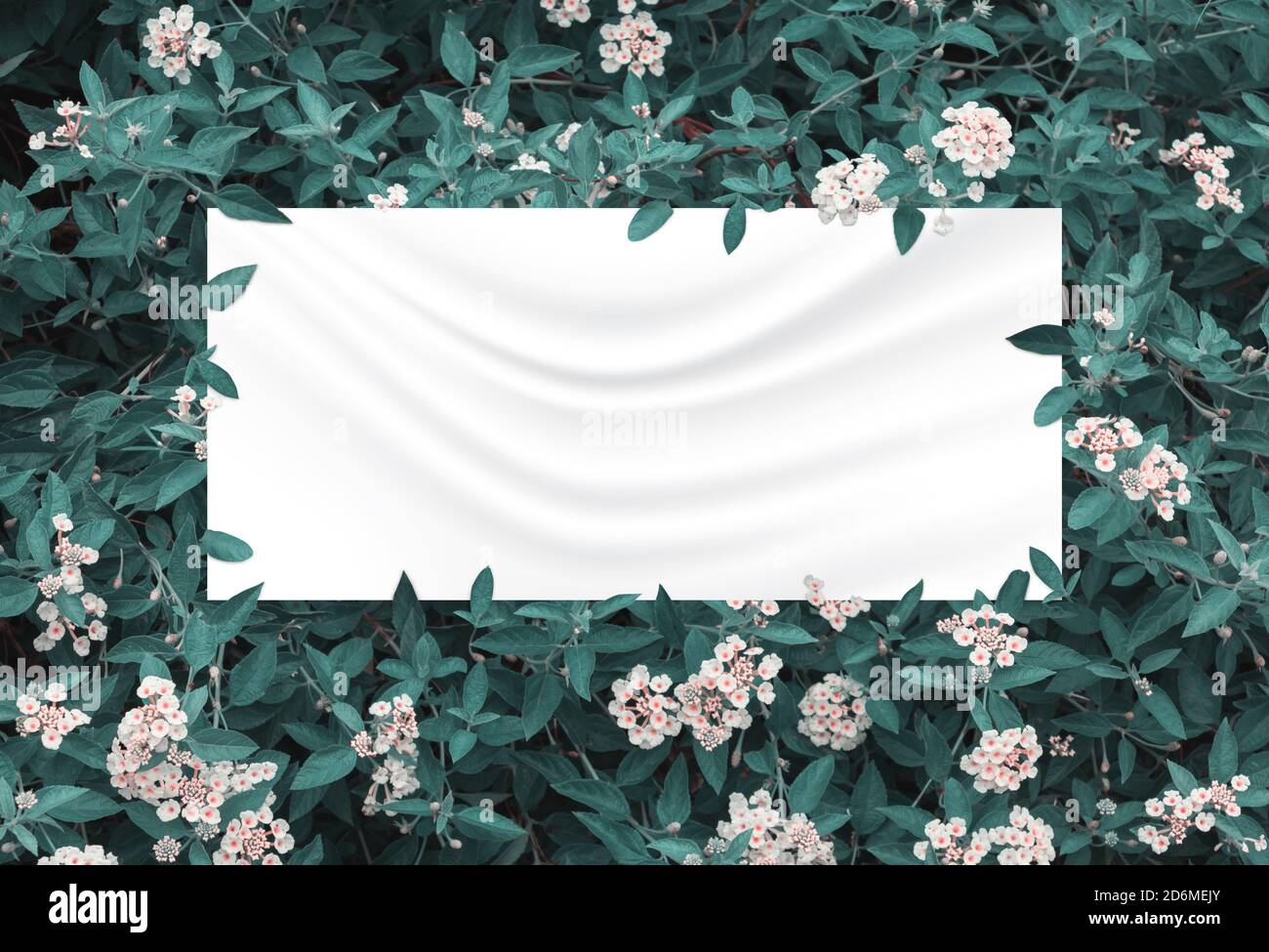 Grüne Blätter und Blumen über zerknittertem Stoff Hintergrund Stockfoto