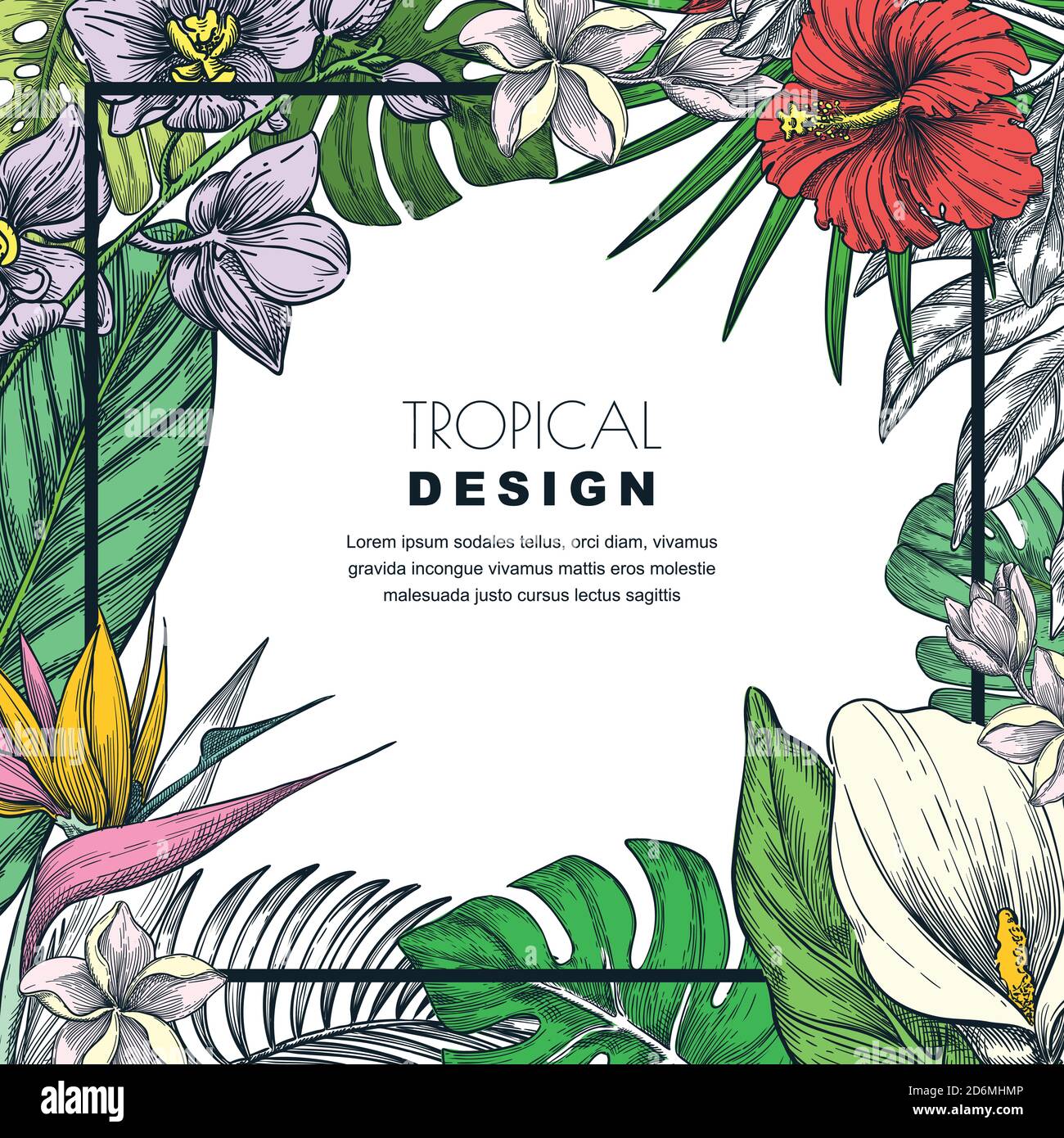 Tropischer Rahmen mit grünen Palmenblättern und Orchidee, Hibiskus, strelitzia, Plumeria, Calla, Lilienblüten. Vektor handgezeichnete Skizzendarstellung. Poster, Stock Vektor