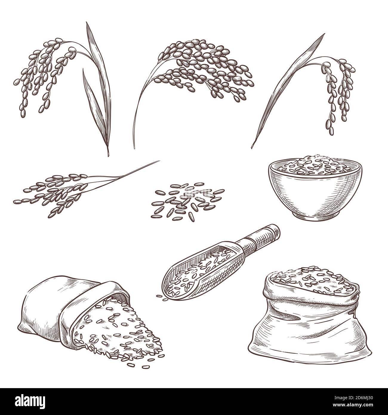 Reis Getreide Spikeletts, Getreide in Sack und Haferbrei in Schüssel. Vektorgrafik Skizze. Handgezeichnete isolierte Designelemente. Stock Vektor