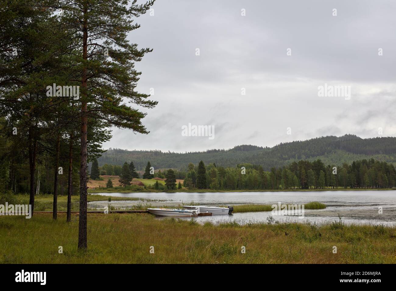 In der Nähe von Rörström, in der Nähe von Hoting, Västerbotten, Nordschweden Stockfoto